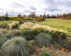 ЧАСТНЫЕ УСАДЬБЫ